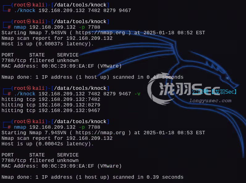 image-20250118232120871