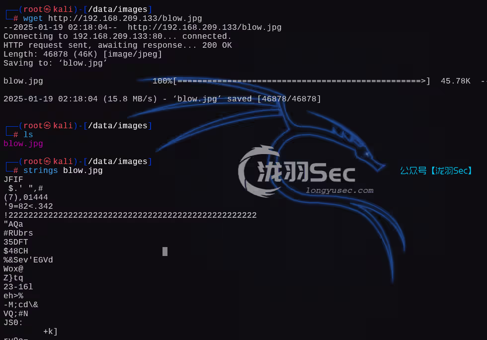 image-20250119151913473