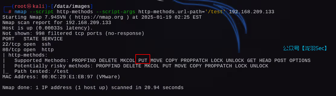 image-20250119152715071