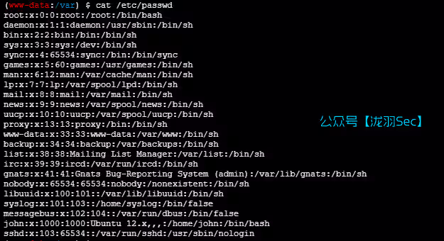 image-20250120160737933