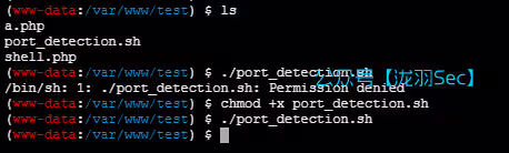 image-20250120212631946