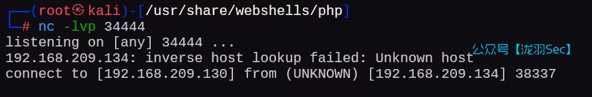 image-20250120235744147