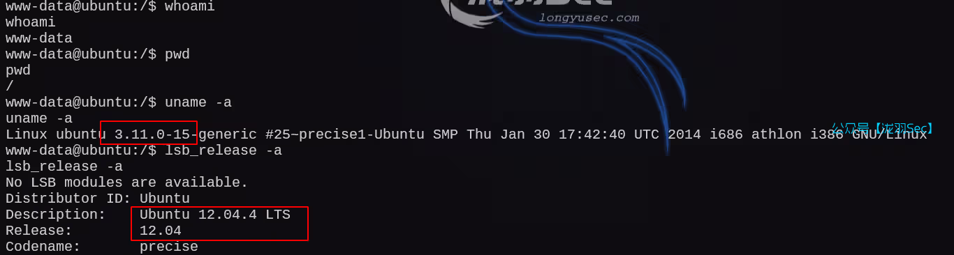 image-20250121004207763