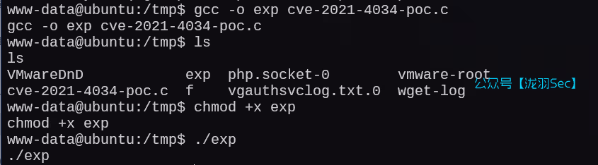 image-20250121005123010