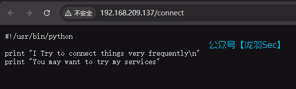 image-20250121170344575