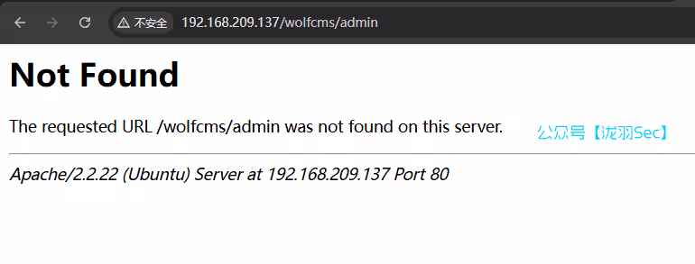 image-20250121174716034