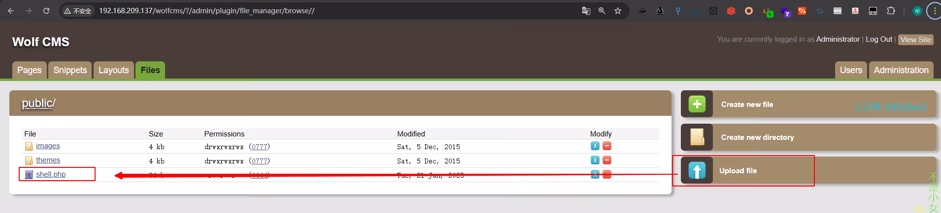 image-20250121181027239