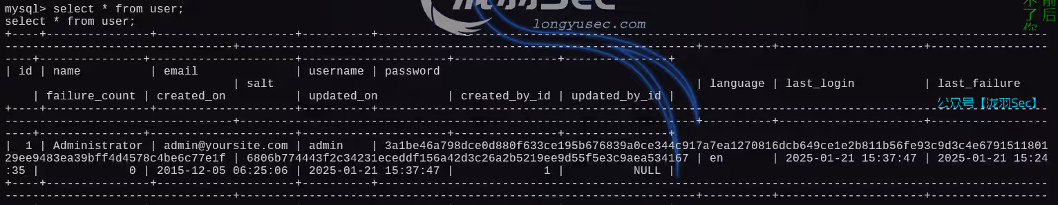 image-20250121182251138