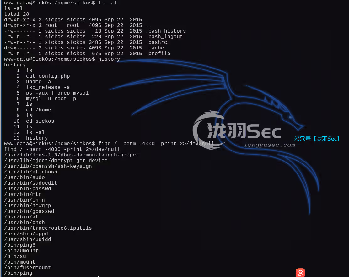 image-20250121182426084