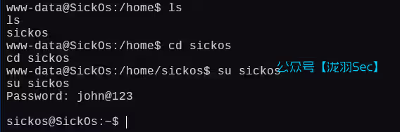 image-20250121183201662