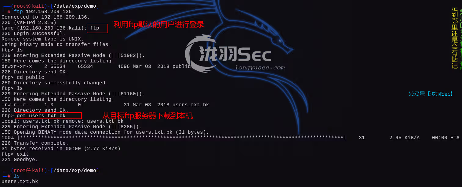 image-20250121185447621