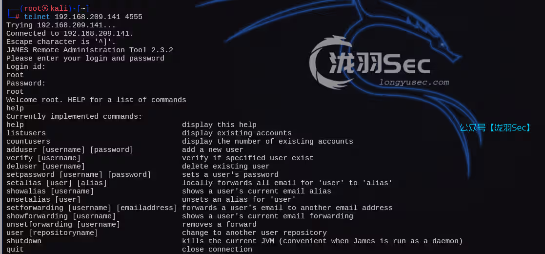 image-20250124161338225