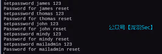 image-20250124163146464