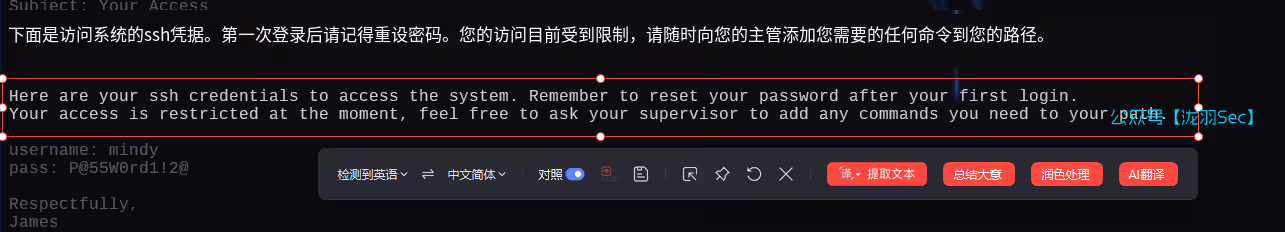 image-20250124171950307