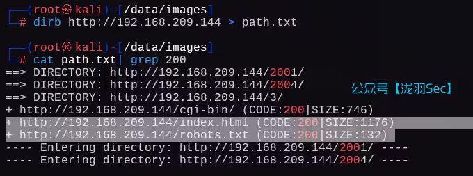 image-20250124205852842