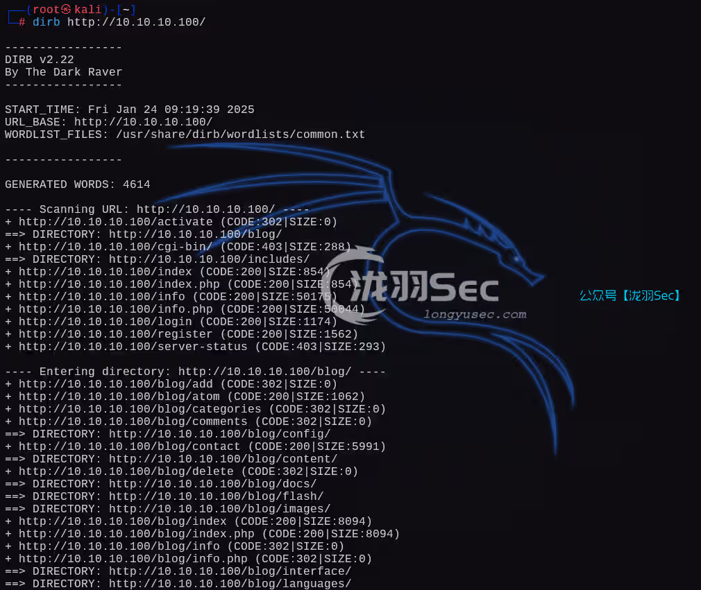 image-20250124221959035