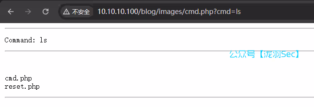 image-20250125150346841