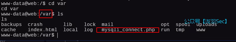 image-20250125152834059