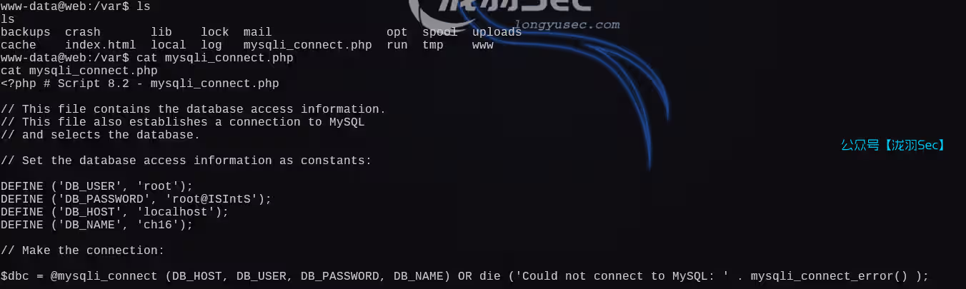 image-20250125152920284