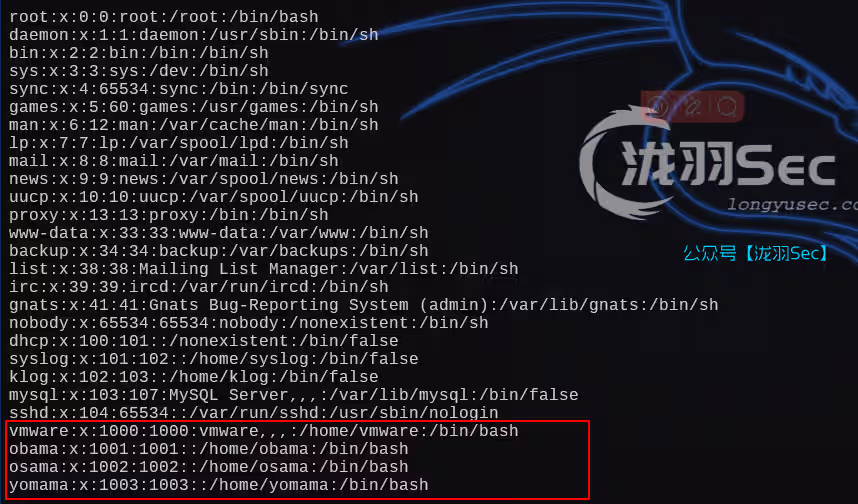 image-20250125234850884