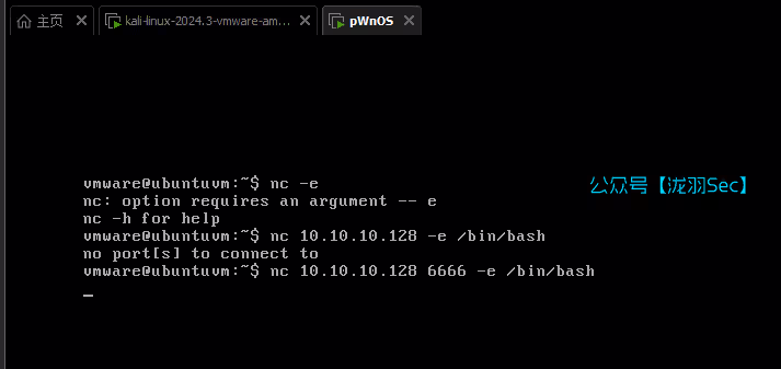 image-20250126003528899