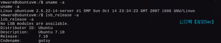 image-20250126003822365