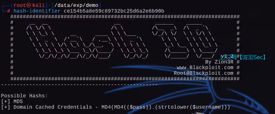 image-20250126021150656