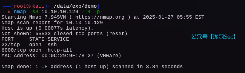 image-20250127185524931