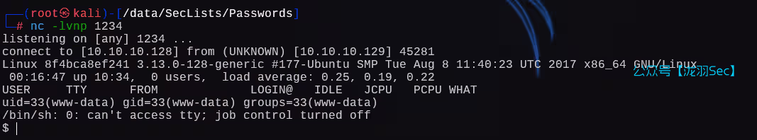 image-20250130205825718