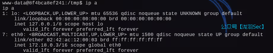 image-20250131004538616