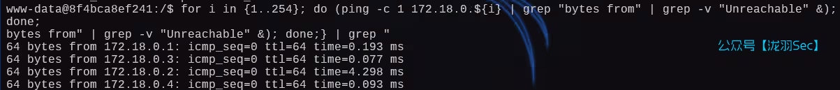 image-20250131004701548