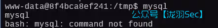 image-20250131141827847