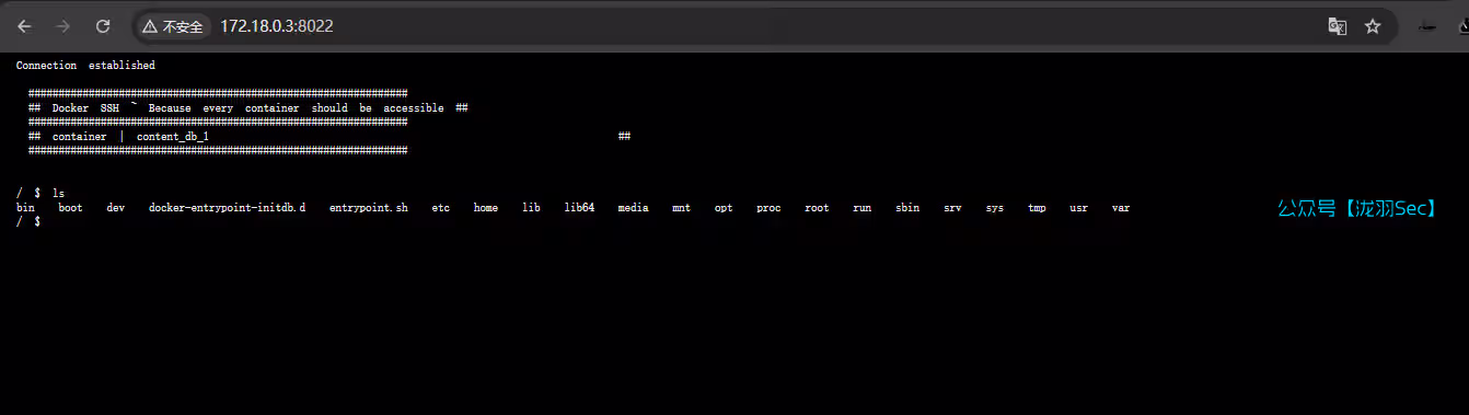 image-20250131174413433