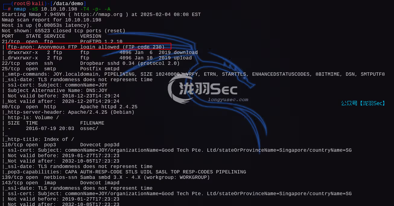 image-20250204211517026