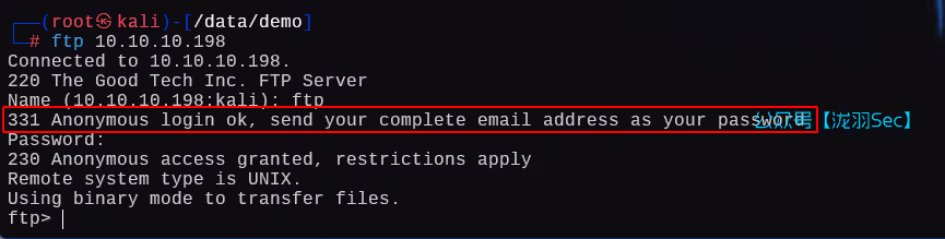 image-20250204211748262