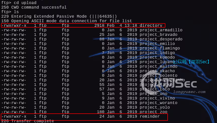 image-20250204212032008