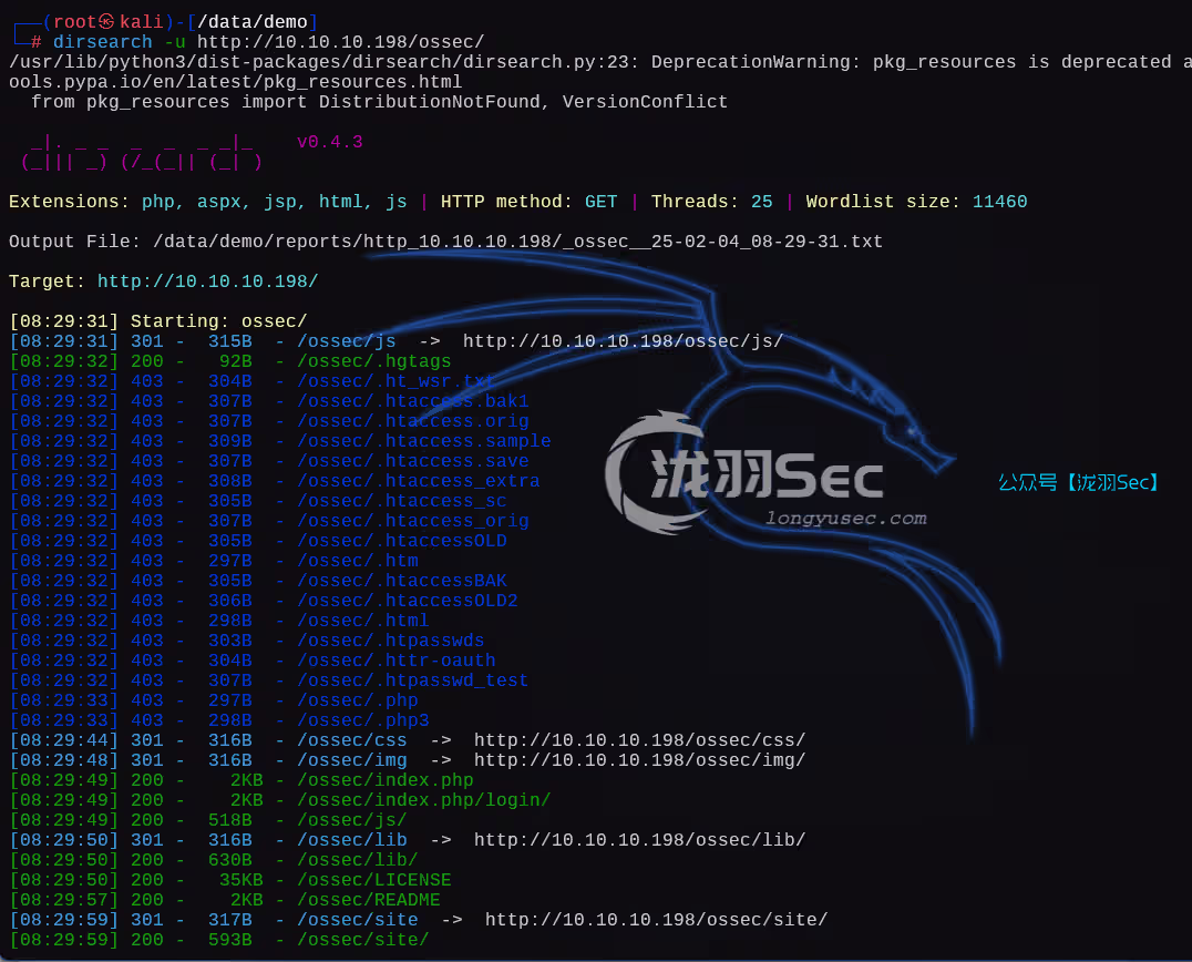 image-20250204213034788