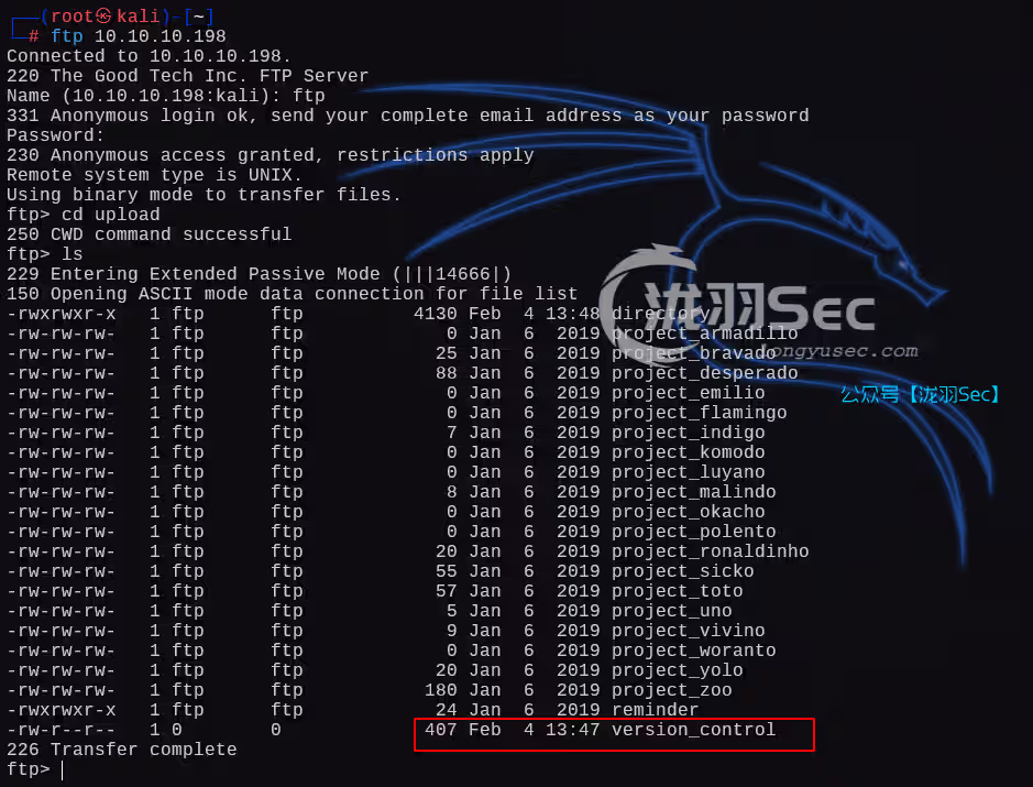 image-20250204214841482